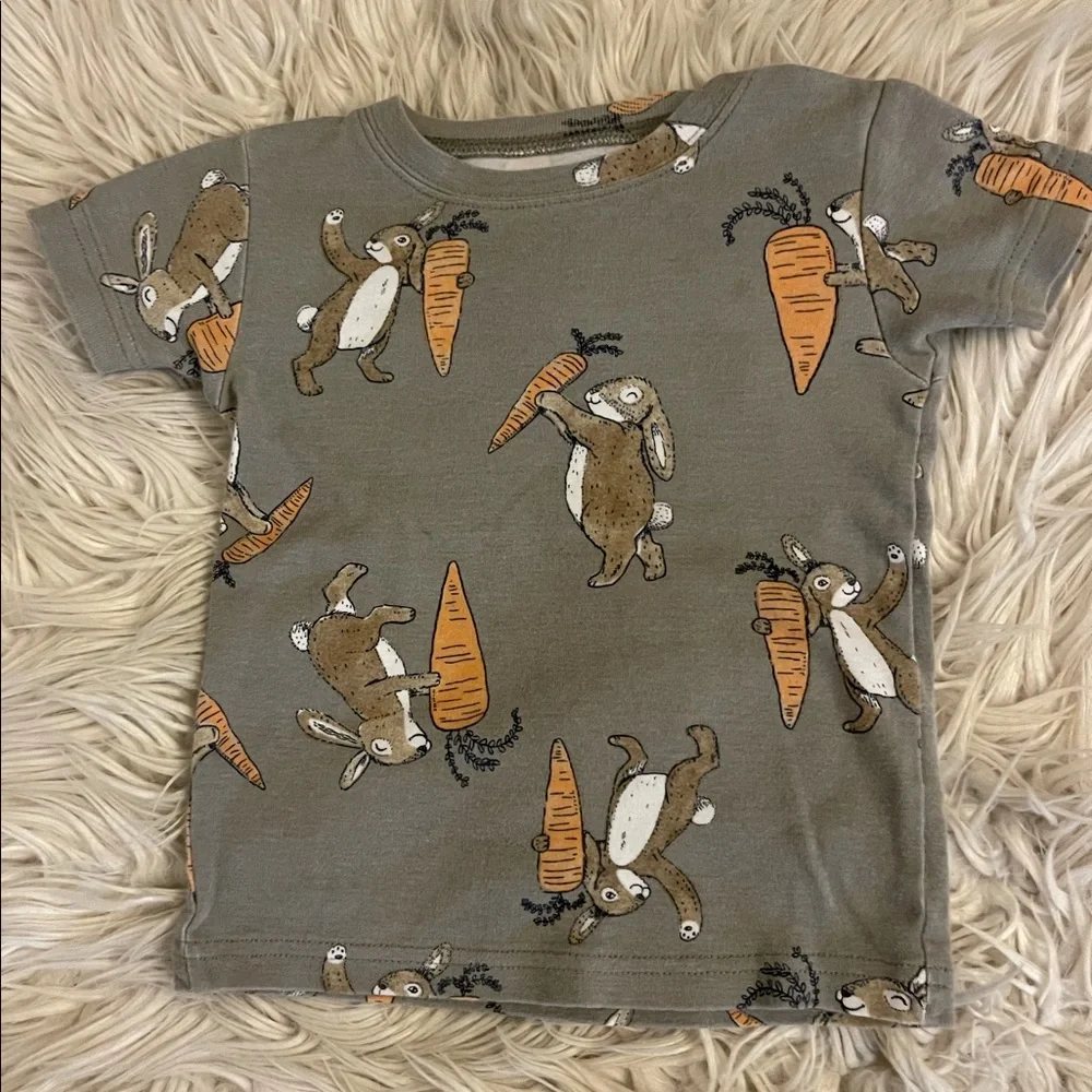 🐰 Carter’s | Bunny jammies | 2T - Picture 3 of 11